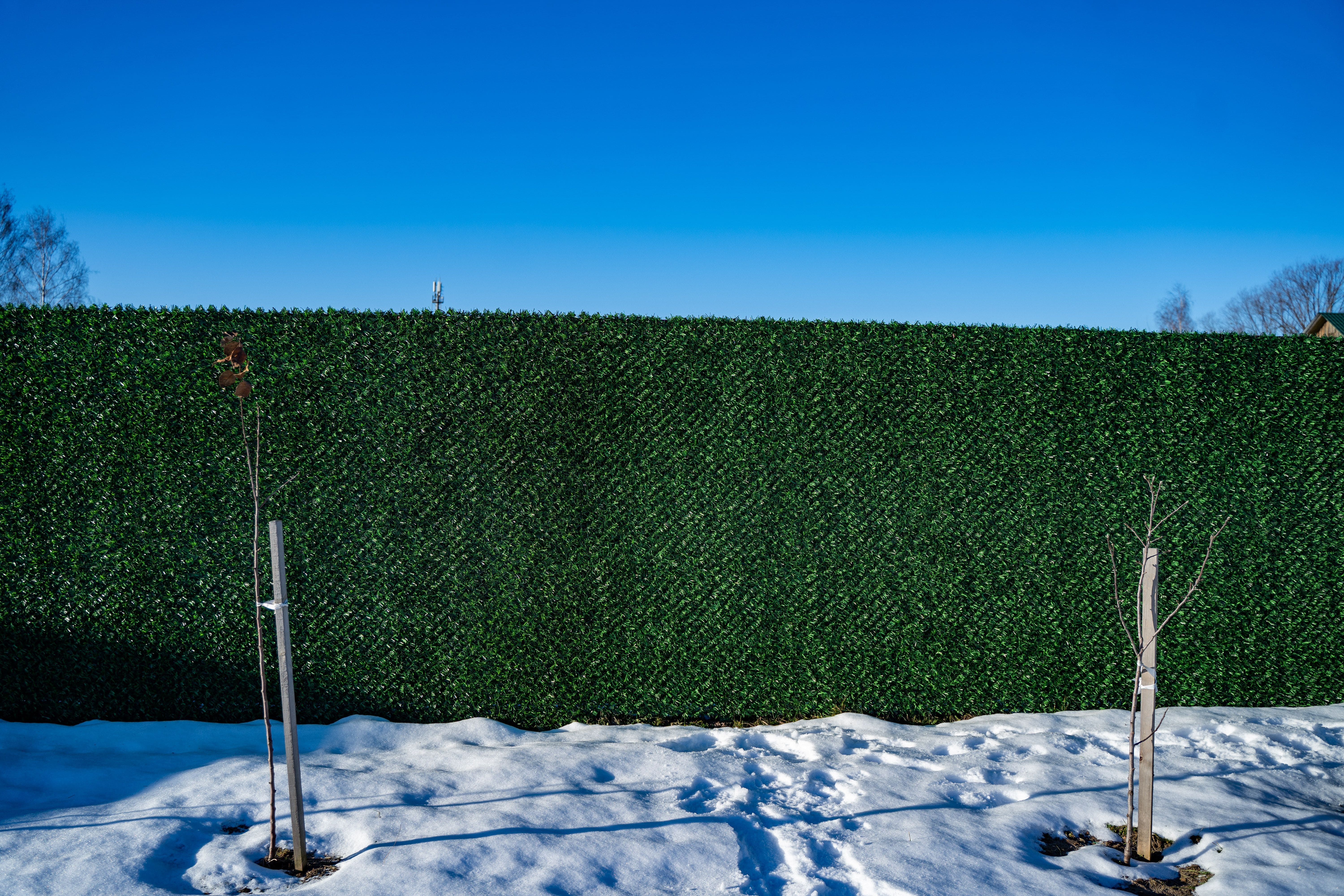 Вечнозеленый забор Grass Fence рулон 2м фото 8 в Осинцево