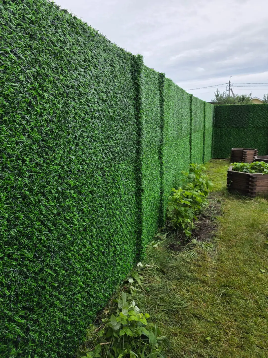 Вечнозеленый забор Grass Fence 37м фото 1 в Осинцево